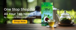 best tea company in India