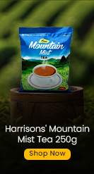 shop mountain mist tea