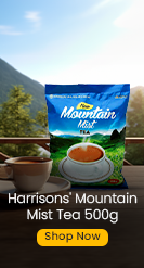 buy mountain mist tea