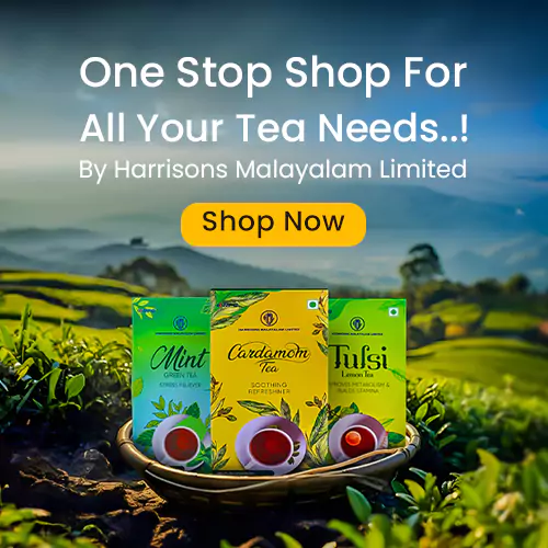 Best Tea Powder in Kerala | Online Tea Retailers