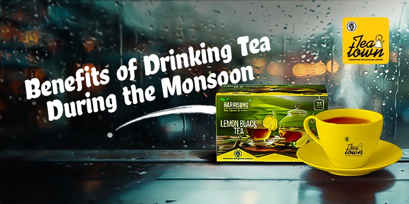 Benefits of Drinking Tea During the Monsoon