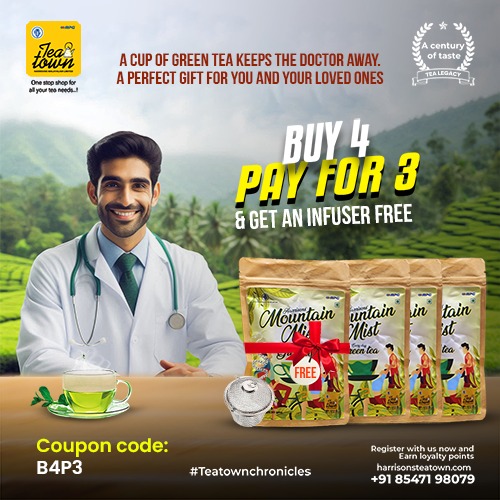 Buy 4 Pay 3 Mountain Mist Everyday Green Tea